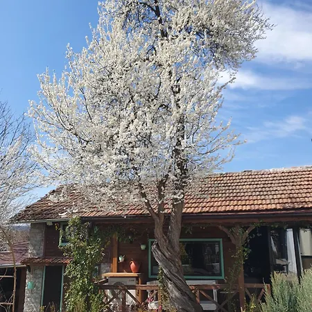 India A-frame * Ledenik