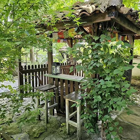 India A-frame 펜션