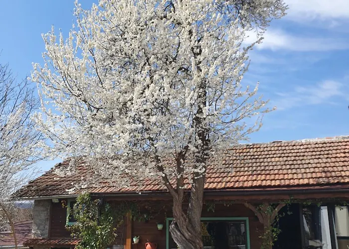 India A-frame * Ledenik