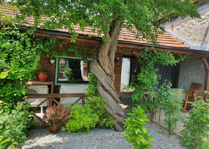 India A-frame 別荘 Ledenik